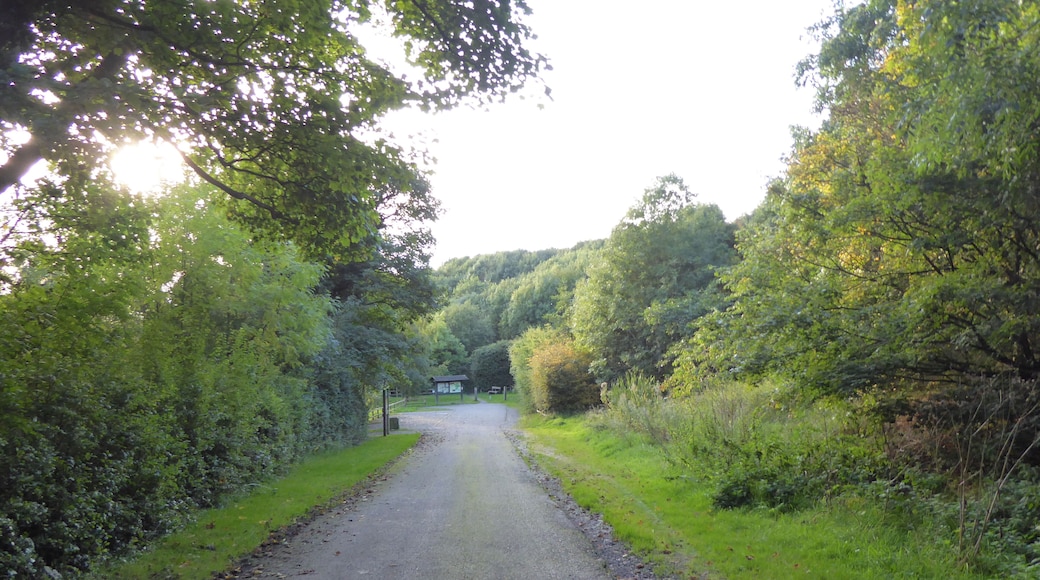 Snibston Grange is a Local Nature Reserve on the eastern outskirts of Coalville in Leicestershire. It is part of Snibston Country Park.