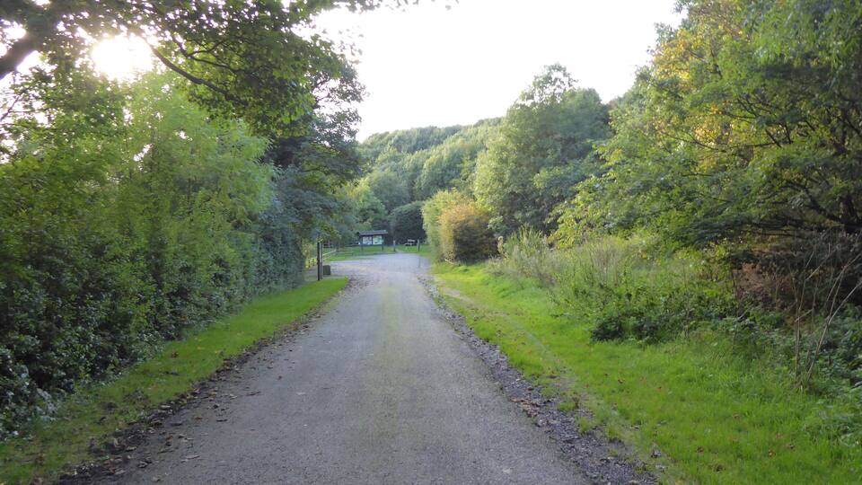 A gravel path flanked by dense green foliage, leading to a small building in the distance.