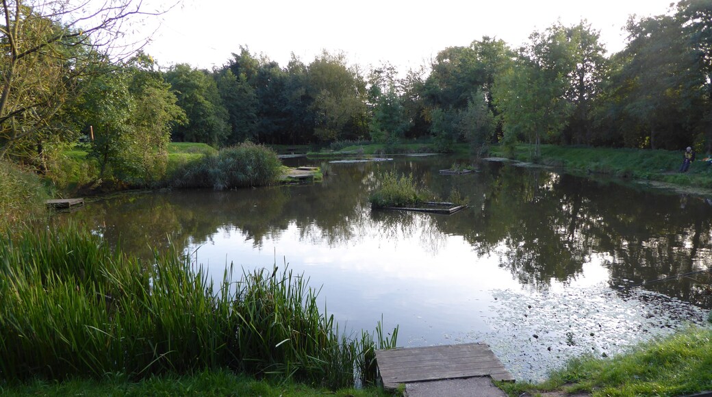 Snibston Grange is a Local Nature Reserve on the eastern outskirts of Coalville in Leicestershire. It is part of Snibston Country Park.
