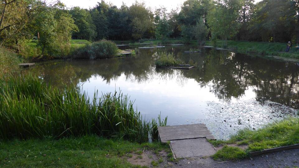A calm pond with a wooden dock, surrounded by lush greenery and trees.