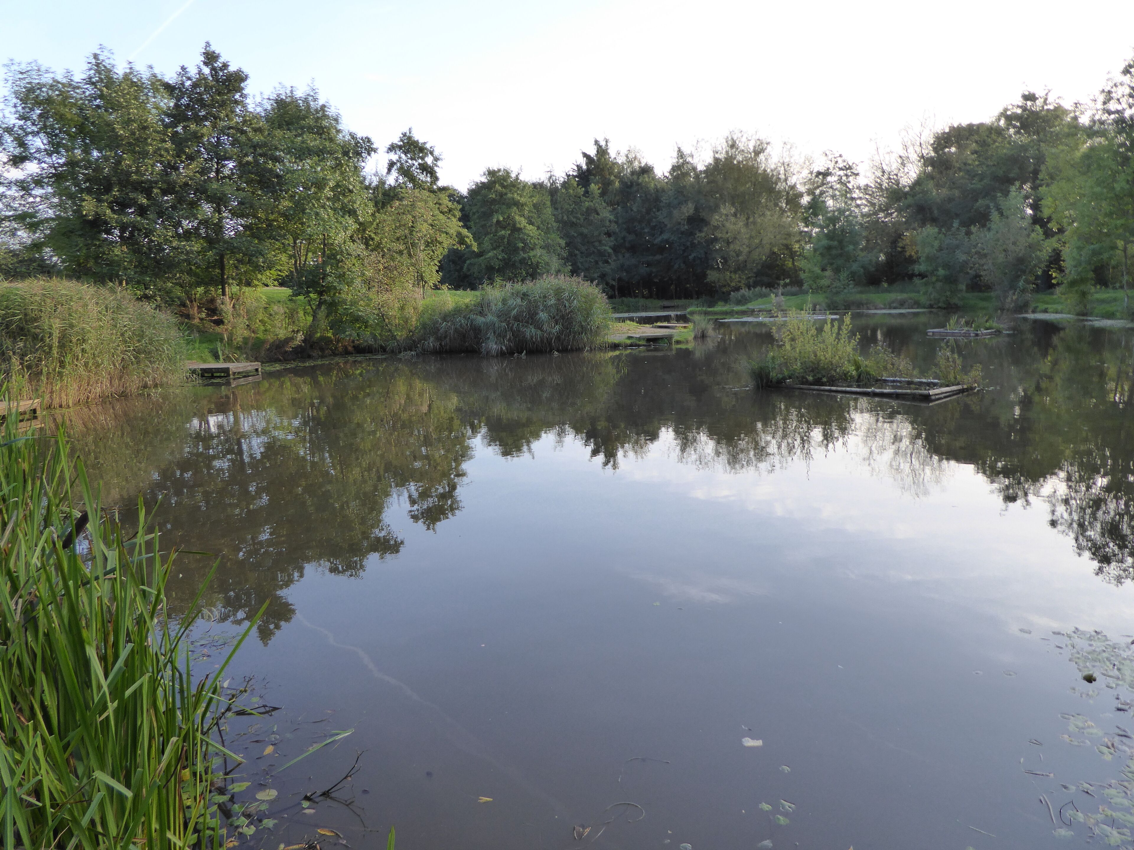 Snibston Grange is a Local Nature Reserve on the eastern outskirts of Coalville in Leicestershire. It is part of Snibston Country Park.