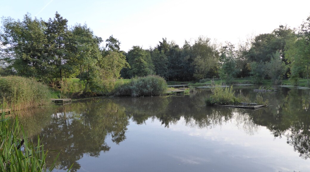 Snibston Grange is a Local Nature Reserve on the eastern outskirts of Coalville in Leicestershire. It is part of Snibston Country Park.