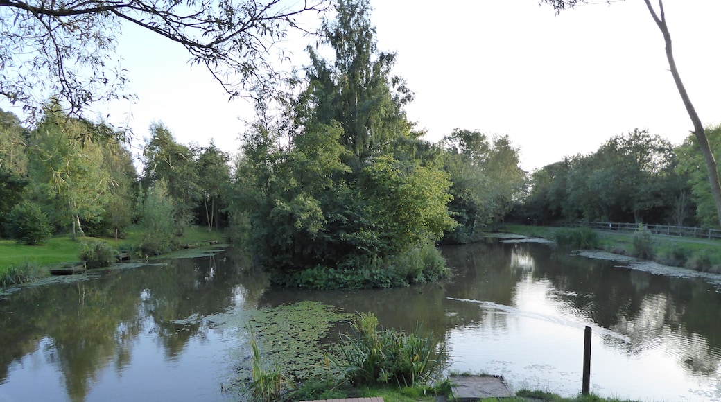 Snibston Grange is a Local Nature Reserve on the eastern outskirts of Coalville in Leicestershire. It is part of Snibston Country Park.