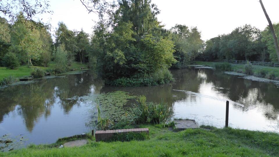 A calm river with lily pads, surrounded by lush greenery and trees.