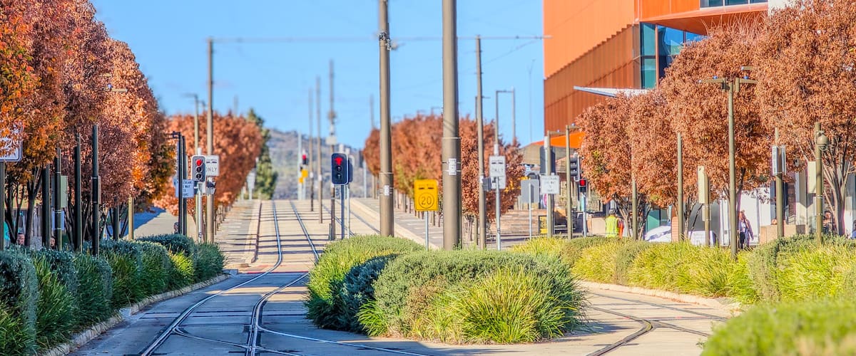 Une rue bordée de voies de tramway, d’arbres aux feuilles d’automne et d’un bâtiment moderne.