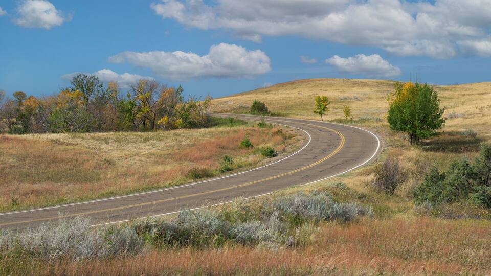 A winding road through a dry grassland with scattered trees and a clear sky.