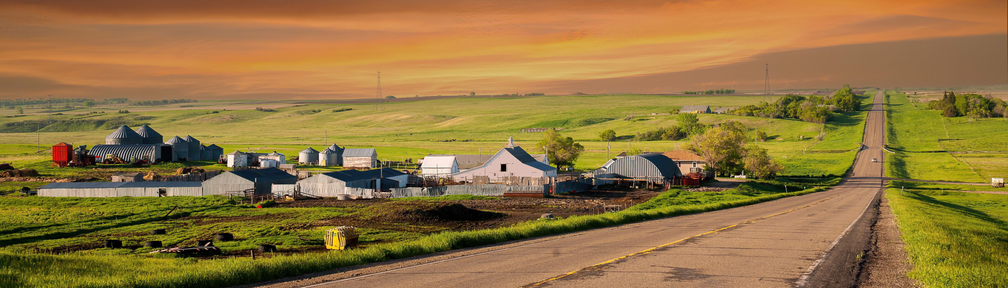 A rural landscape with a road, green fields, and farm buildings.