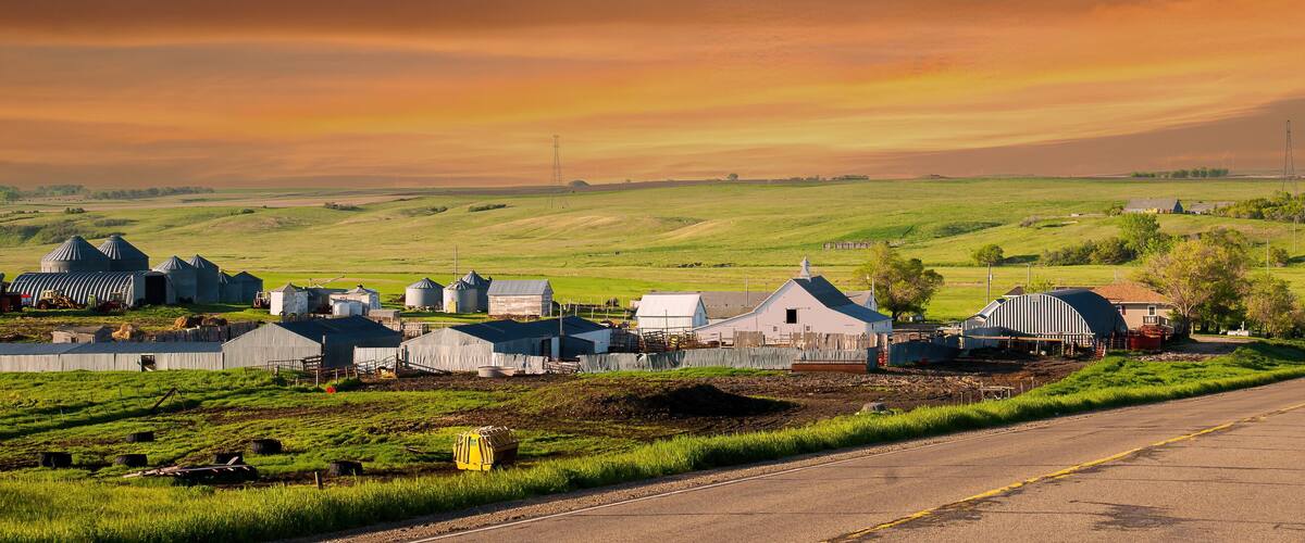 A rural landscape with a road, green fields, and farm buildings.