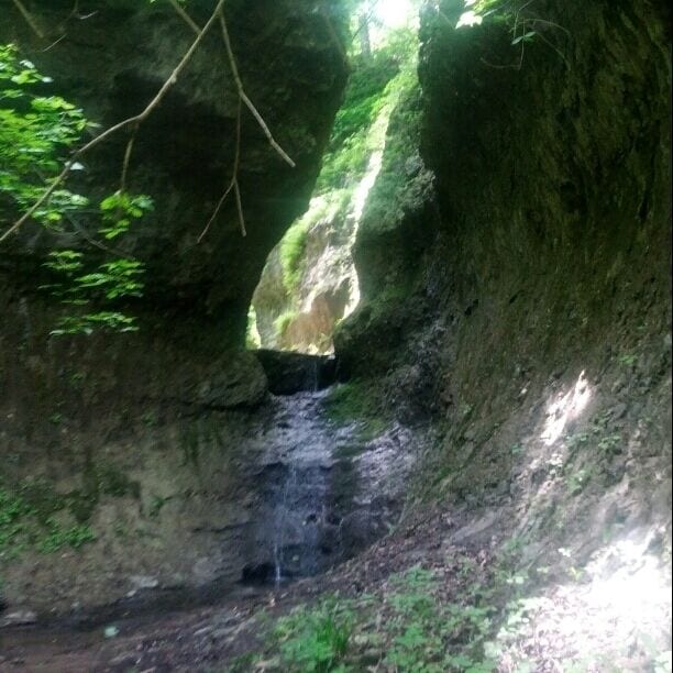 Un cañón estrecho con una cascada pequeña, rodeado de abundante follaje verde.