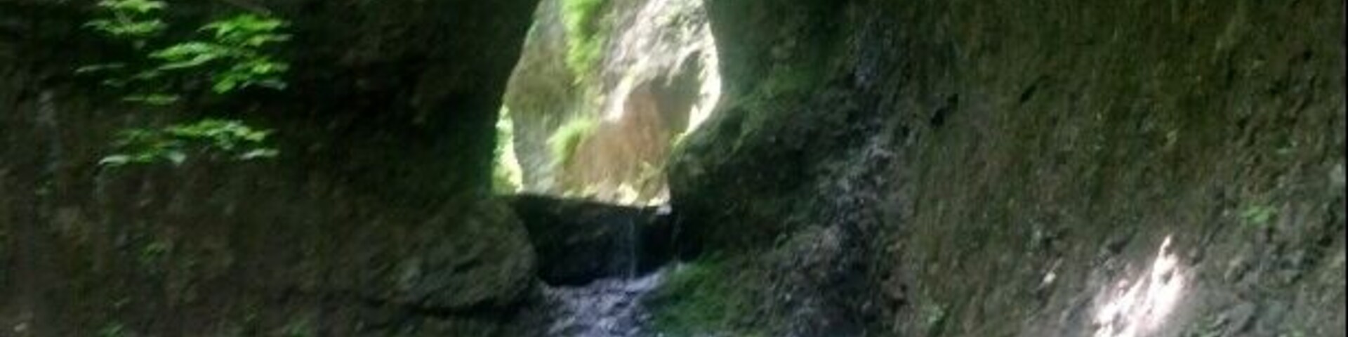 Un cañón estrecho con una cascada pequeña, rodeado de abundante follaje verde.