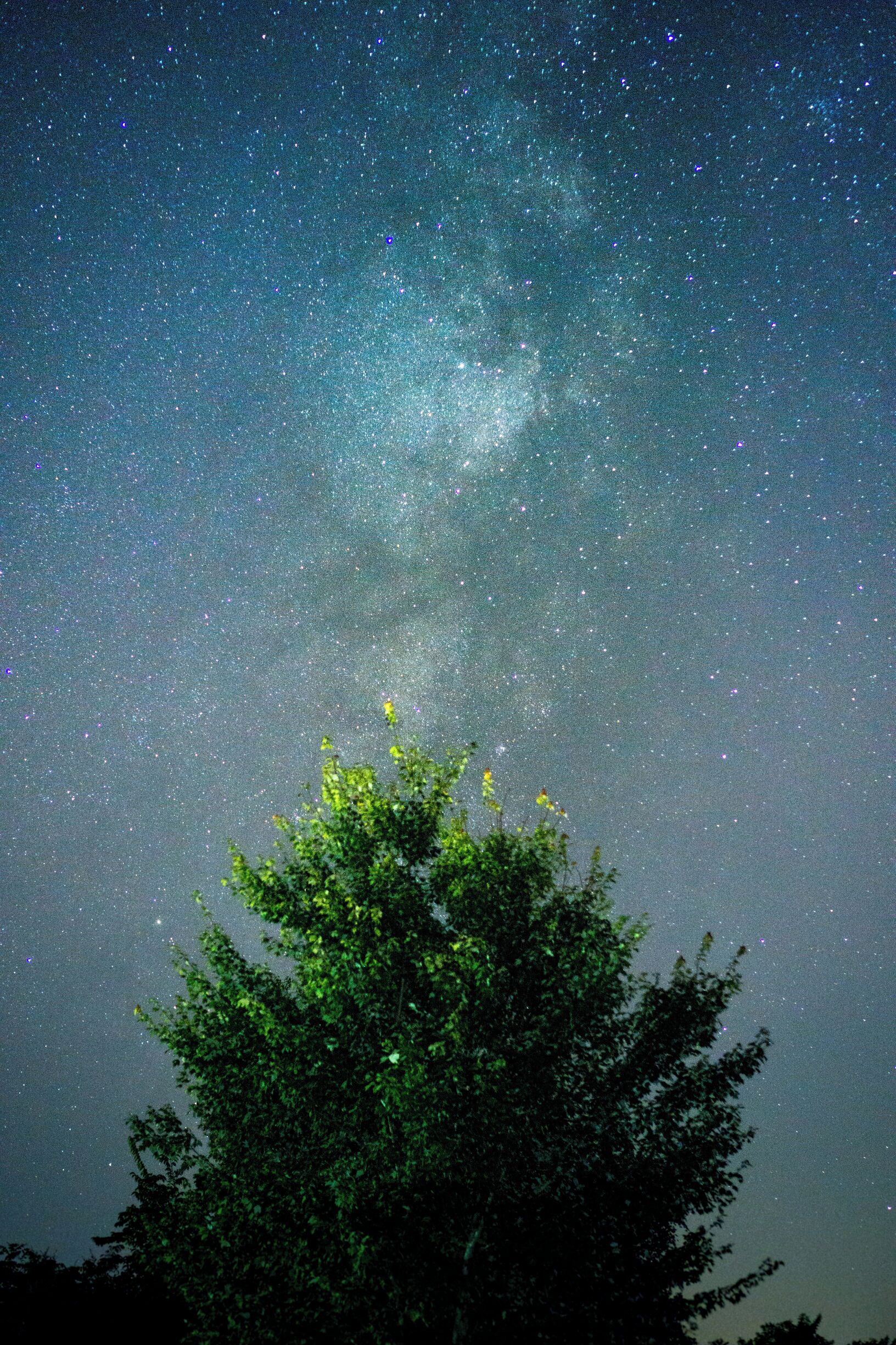 Calm vibes under the stars.

#BvSblue