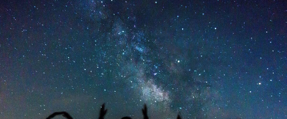 Silhouettes of people against a starry night sky.