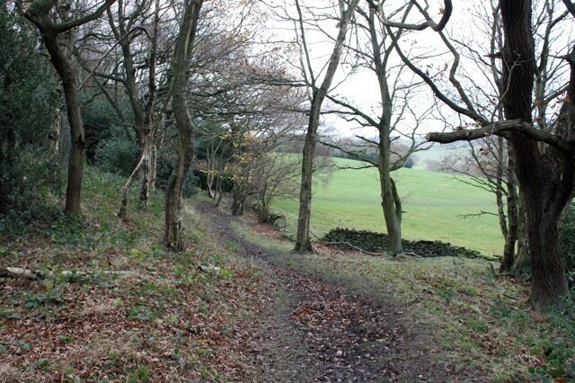 Footpath through Mathewman's Wood Yes, the spelling of Mathewman is unusual. The path through the wood is clear and well-signed, when you find it.
