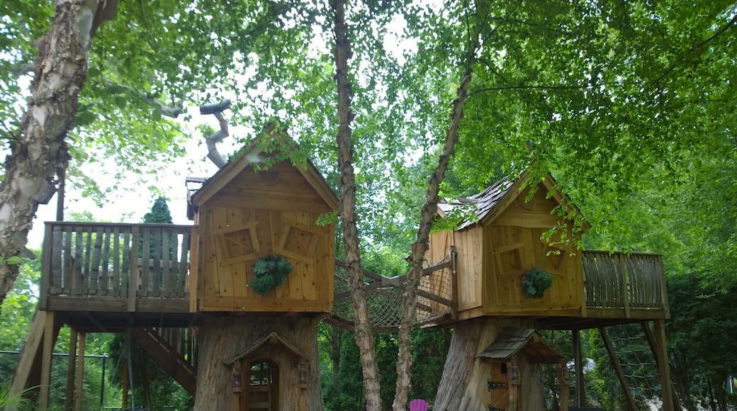 The Bexley House and Garden Tour gives an opportunity to explore some of the breathtaking private spaces throughout the city.
This five acre garden of distinction was by far the star of the tour.
*as a side note, I grew all the flowers for this garden in the greenhouses where I work.