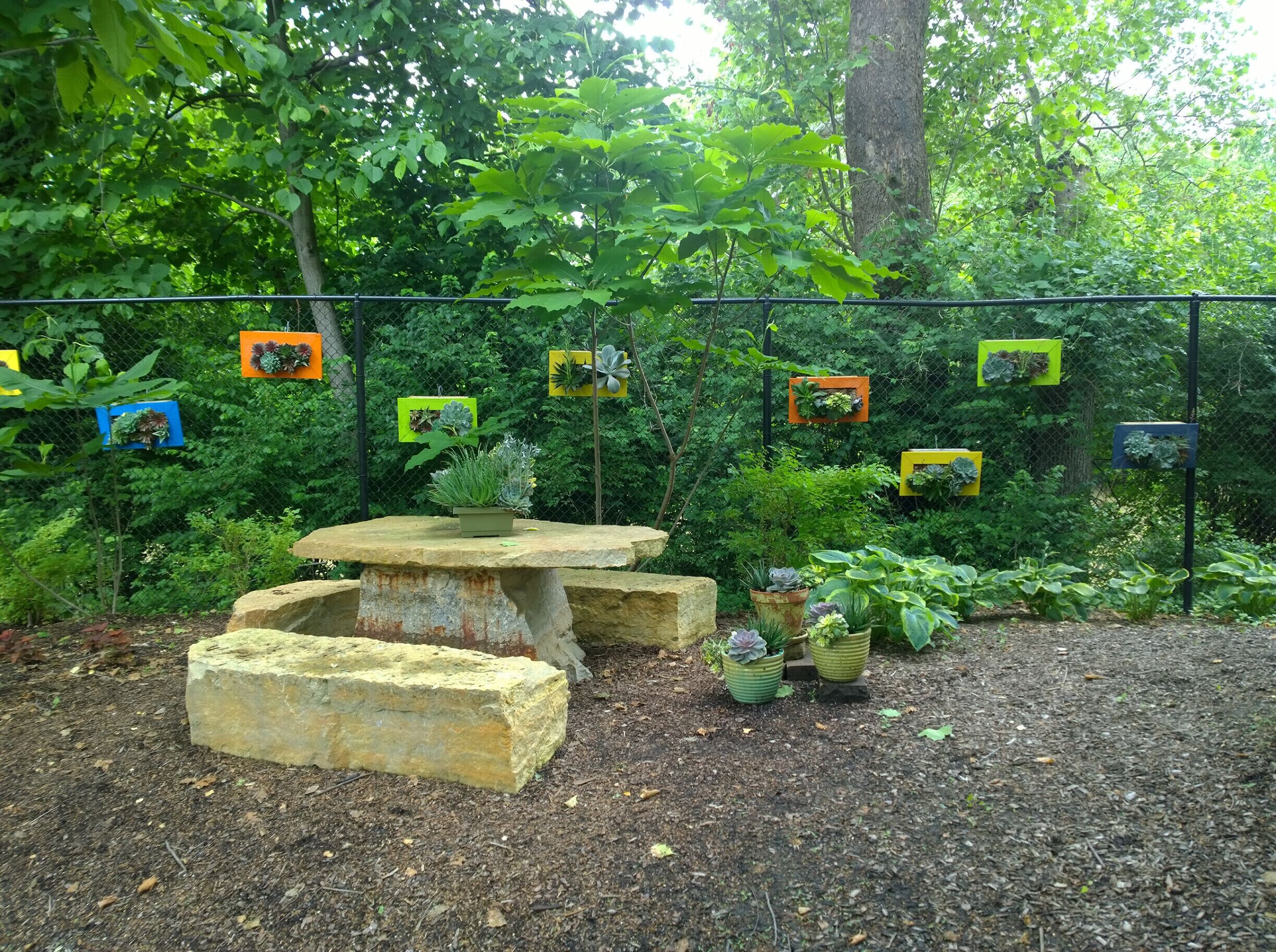 The brightly colored wooden frames filled with succulents that decorate the fence were painted and planted by yours truly.
The Bexley House and Garden Tour gives an opportunity to explore some of the breathtaking private spaces throughout the city.

This five acre garden of distinction was by far the star of the tour.
