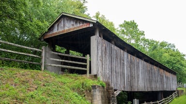 Governor Bebb Park Covered Bridge in Butler County, Ohio