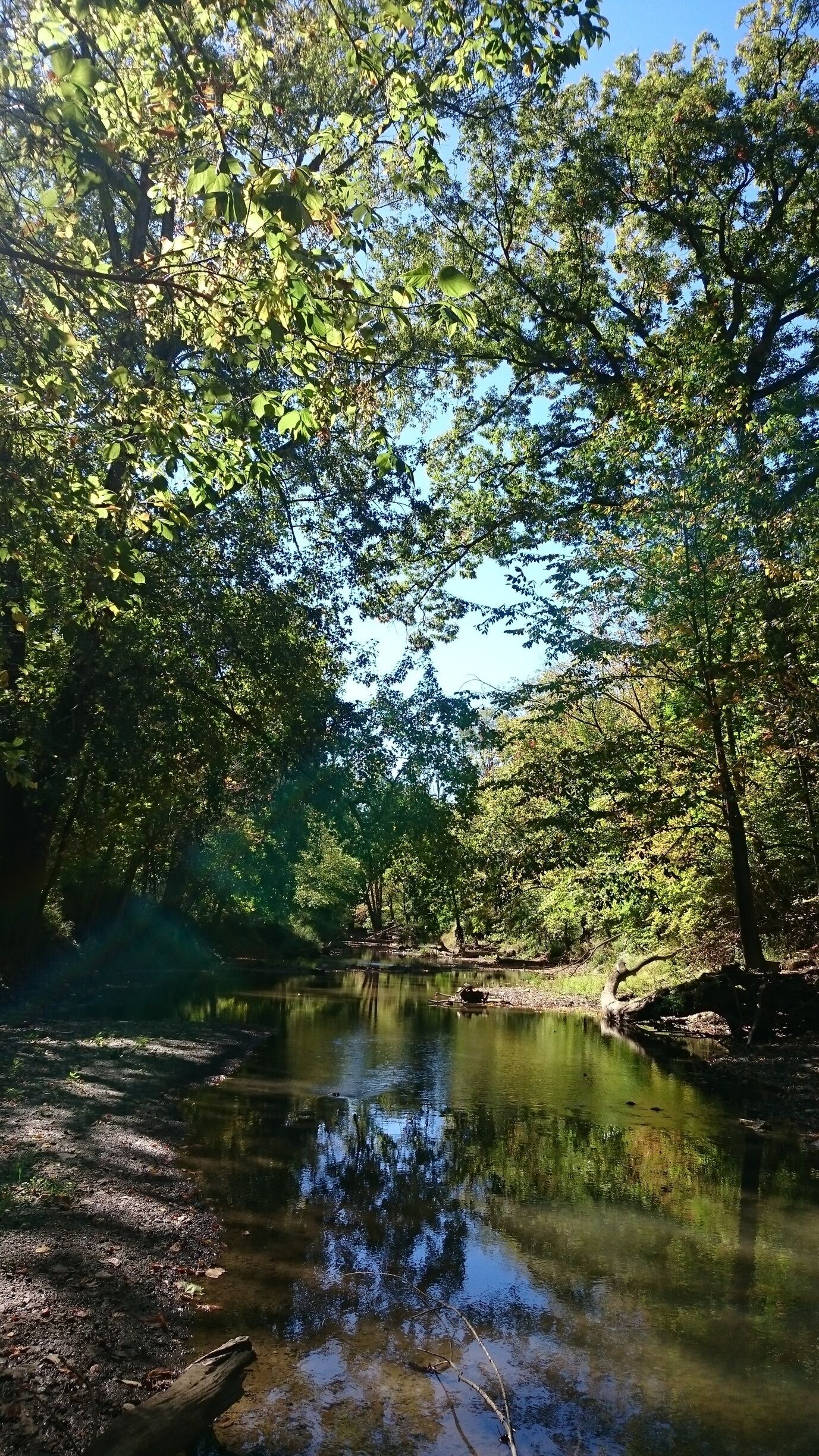 Terradise Nature Preserve is a small park with trails along the Olentangy River that boasts over 30 species of spring wildflowers and more than 40 species of native trees and shrubs.