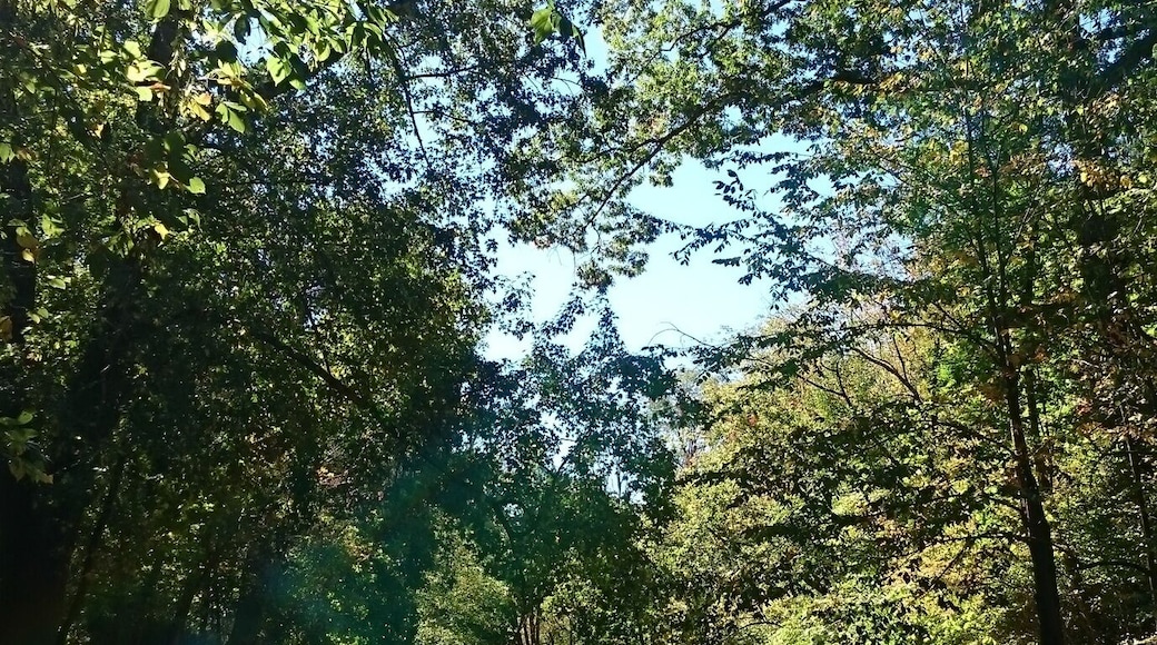 Terradise Nature Preserve is a small park with trails along the Olentangy River that boasts over 30 species of spring wildflowers and more than 40 species of native trees and shrubs.