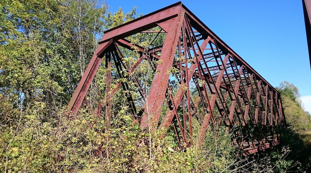An abandoned bridge crossing the Olentangy River near the equally abandoned Caledonia Nature Preserve.