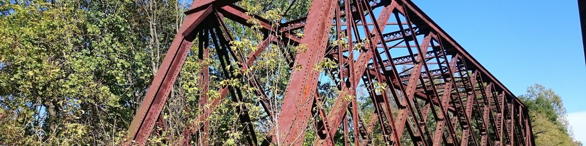 An abandoned bridge crossing the Olentangy River near the equally abandoned Caledonia Nature Preserve.
