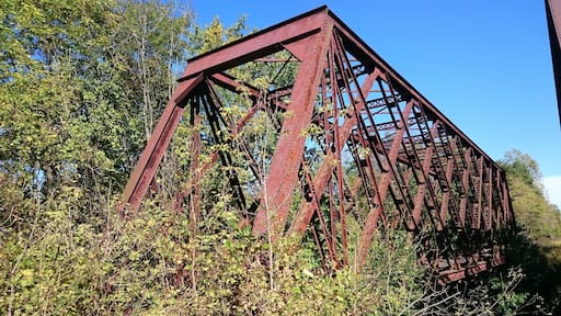 An abandoned bridge crossing the Olentangy River near the equally abandoned Caledonia Nature Preserve.