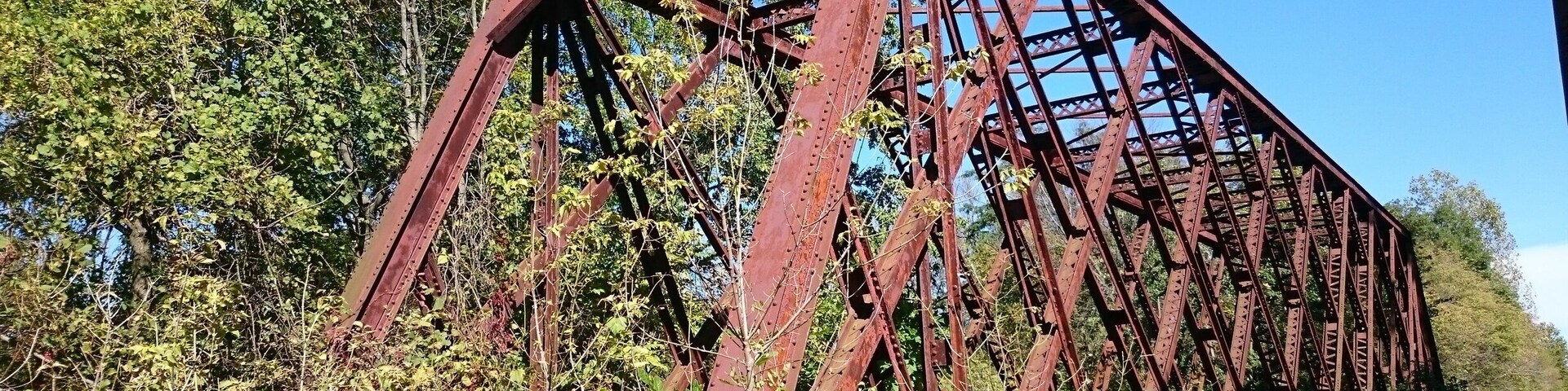 An abandoned bridge crossing the Olentangy River near the equally abandoned Caledonia Nature Preserve.