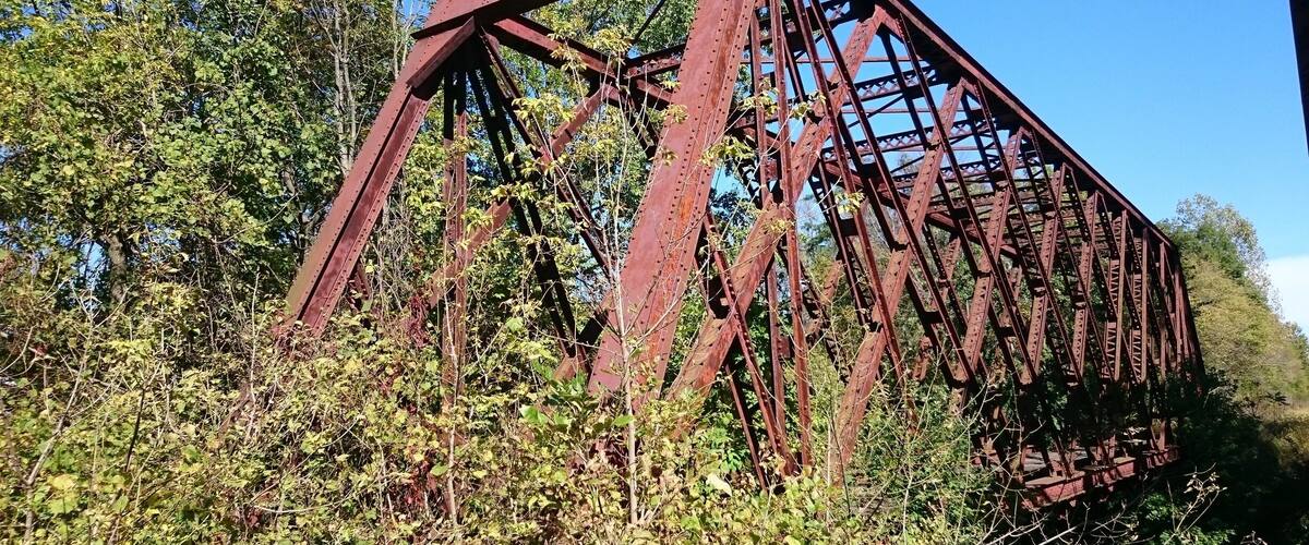 A rusted metal bridge surrounded by dense foliage.