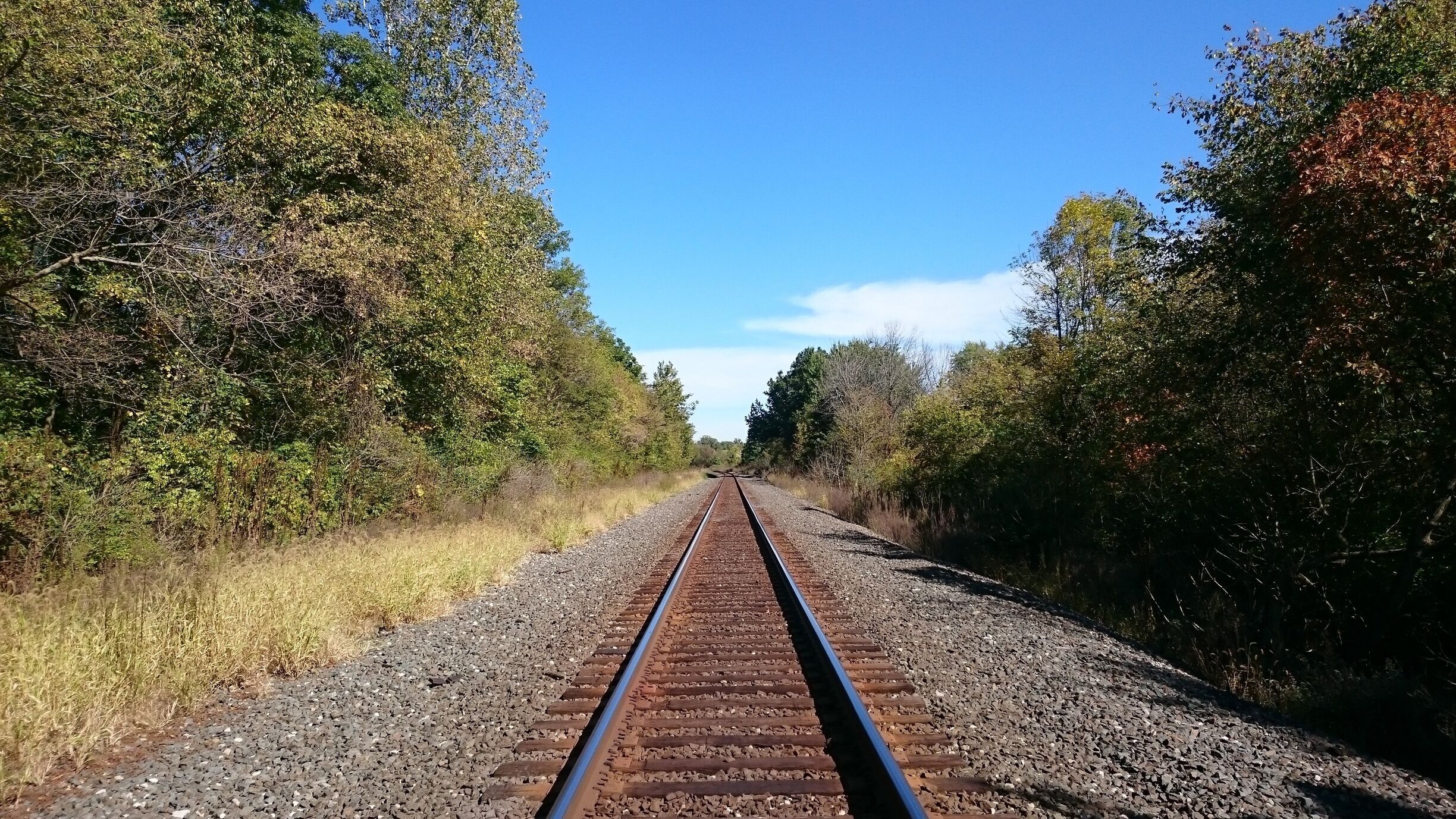 Somewhere to the north of this railroad track lies the unkempt Caledonia Nature Preserve. The 37 acre nature preserve along the Olentangy River is currently inaccessible due to a condemned bridge.