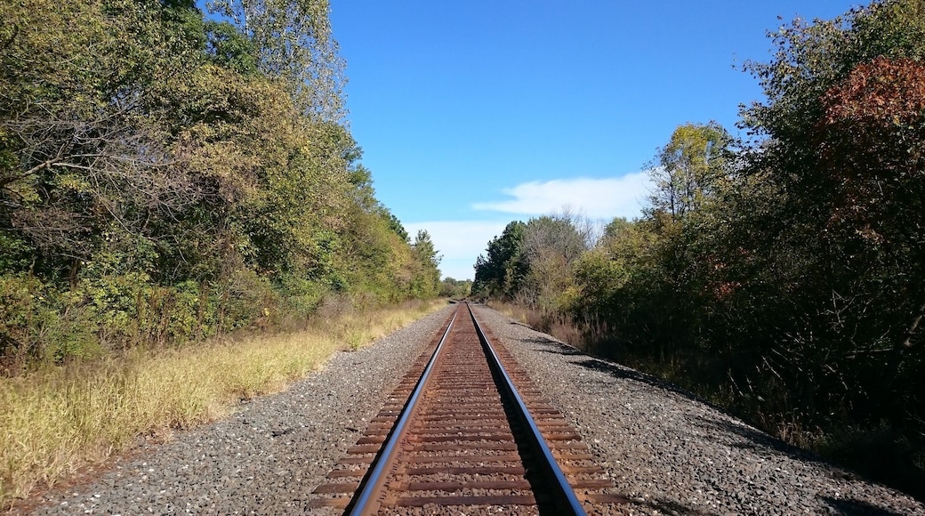 Somewhere to the north of this railroad track lies the unkempt Caledonia Nature Preserve. The 37 acre nature preserve along the Olentangy River is currently inaccessible due to a condemned bridge.
