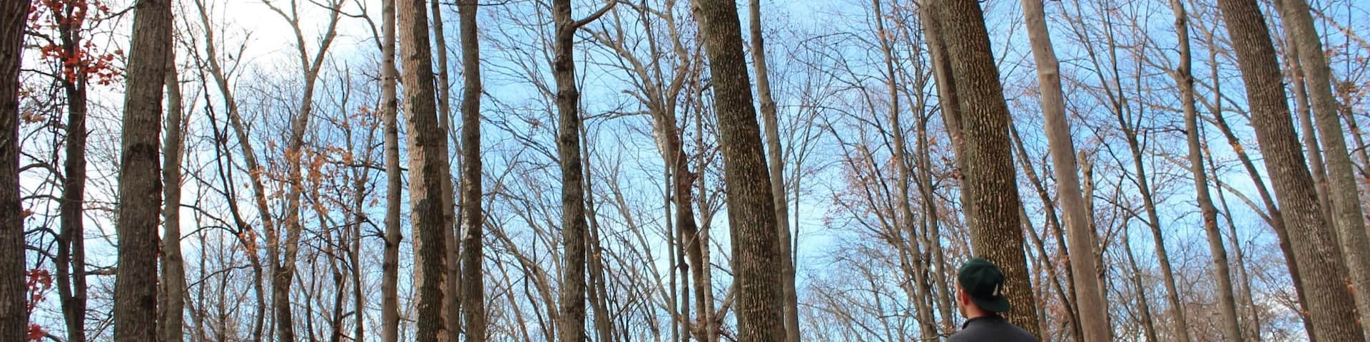 Great place to enjoy the fall with golden leaves and golden sunshine.