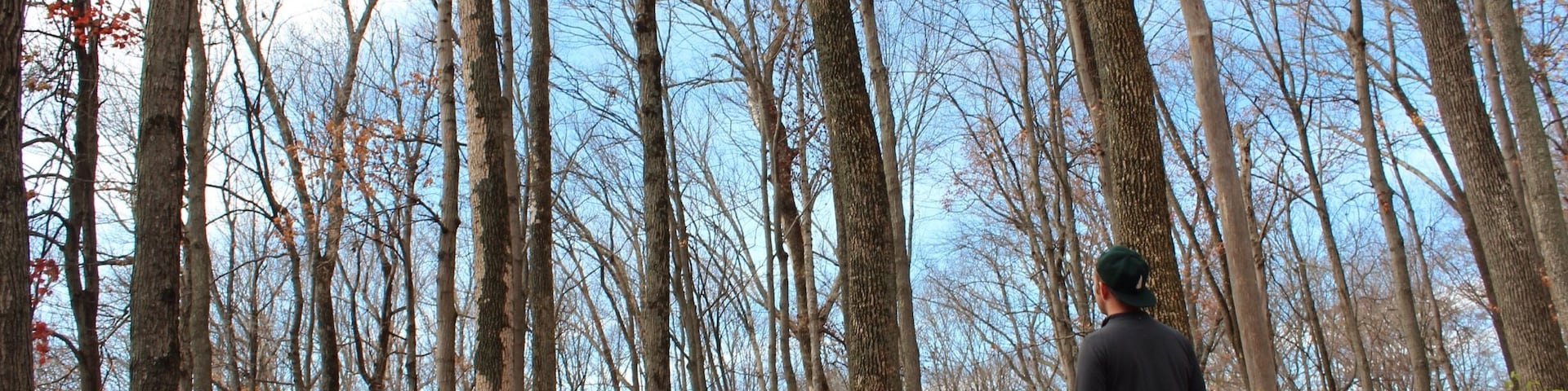Great place to enjoy the fall with golden leaves and golden sunshine.