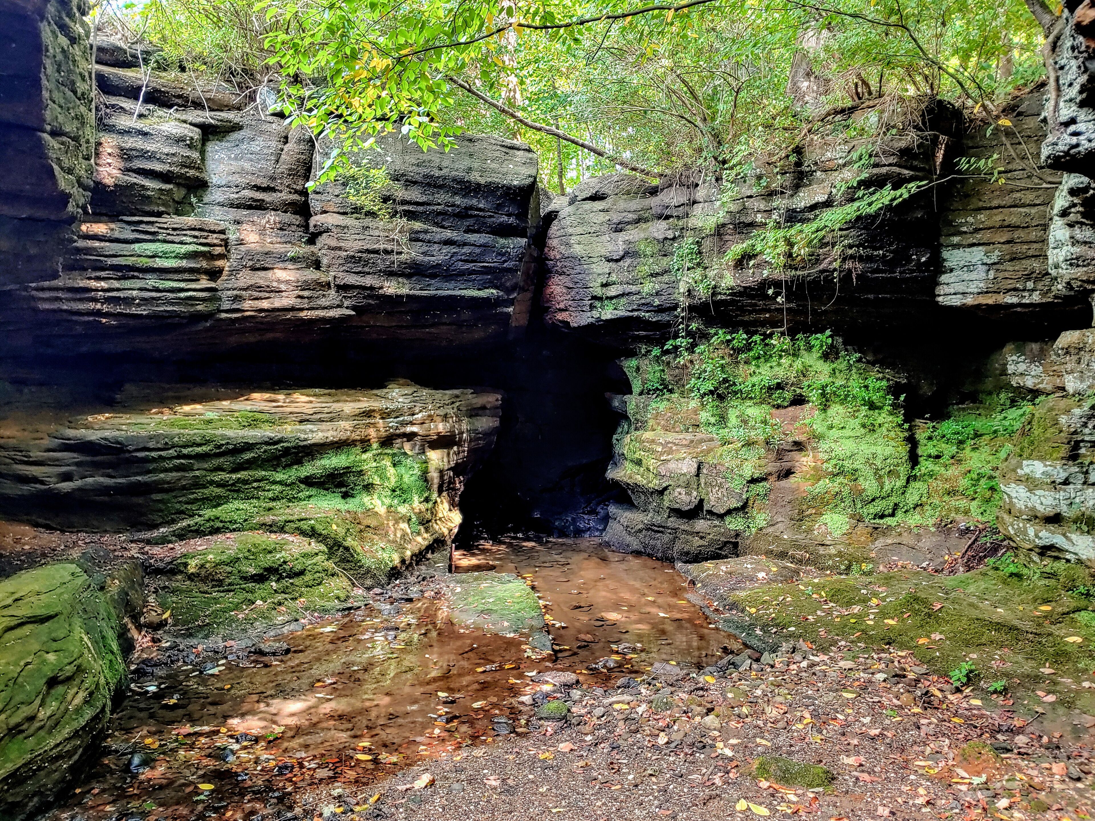 There's a waterfall hidden in almost plain sight, just south of Chagrin Falls, OH on Catsden Rd.

Here you can find Cat's Den Falls, a seasonal waterfall located below the road itself.

Climb down from the road and walk through a cave-like opening in the rocks. You'll enter a tiny grotto that during wetter times of the year will have a cascade on the back wall.

#Trovember