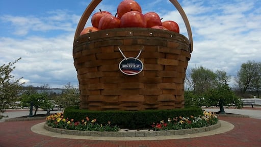 This is the giant apple basket at the Longaberger Homestead. Not what it used to be, but still nice if you like baskets.