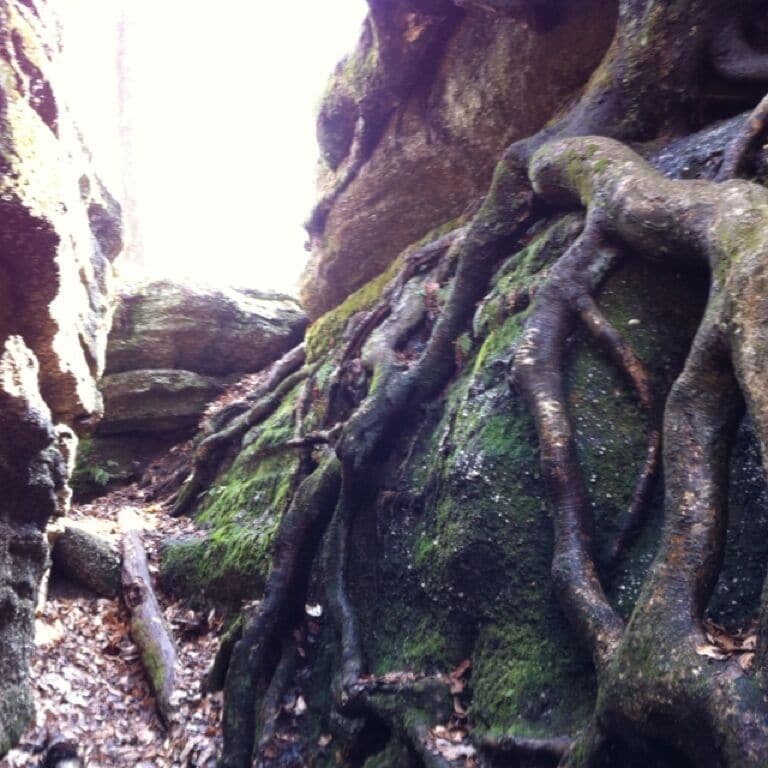 This place is awesome - like a fairytale land.