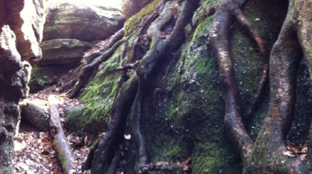 This place is awesome - like a fairytale land.