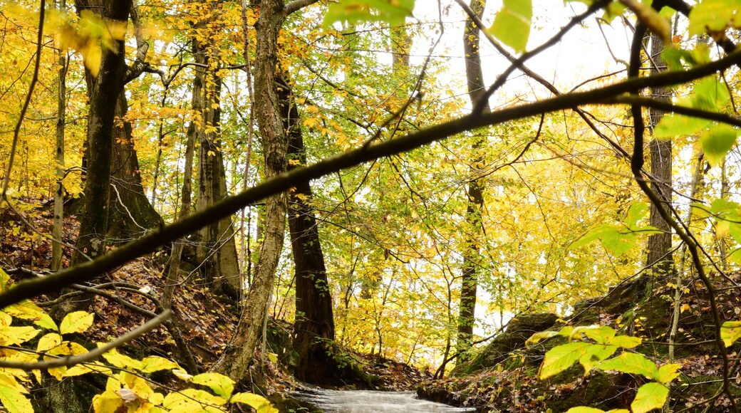 ๊ฐ๋ ์ธ ๋น