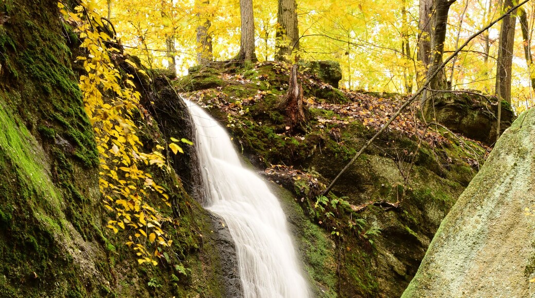 ๊ฐ๋ ์ธ ๋น