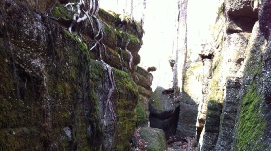 Such a cool place, unlike anything else in Ohio