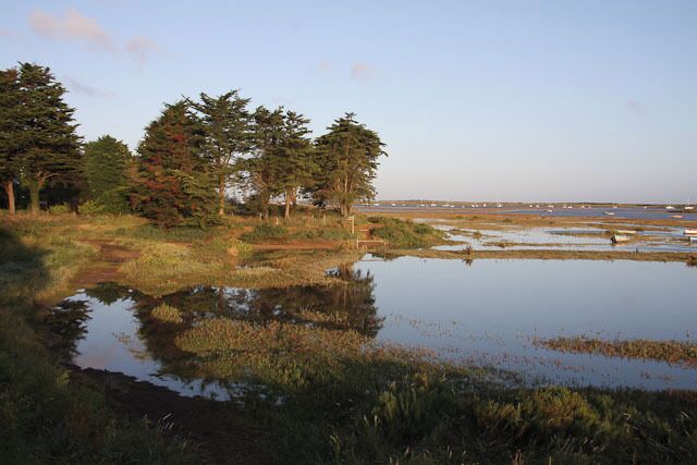 High tide at Burnham Deepdale. Spring high tide covering most of the saltmarsh. Spring high tides are always at about 7 O'clock along this stretch of coast, see 568088.