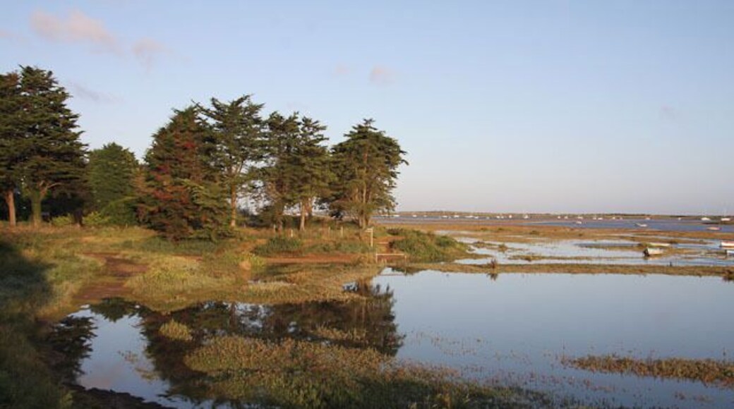 High tide at Burnham Deepdale. Spring high tide covering most of the saltmarsh. Spring high tides are always at about 7 O'clock along this stretch of coast, see 568088.