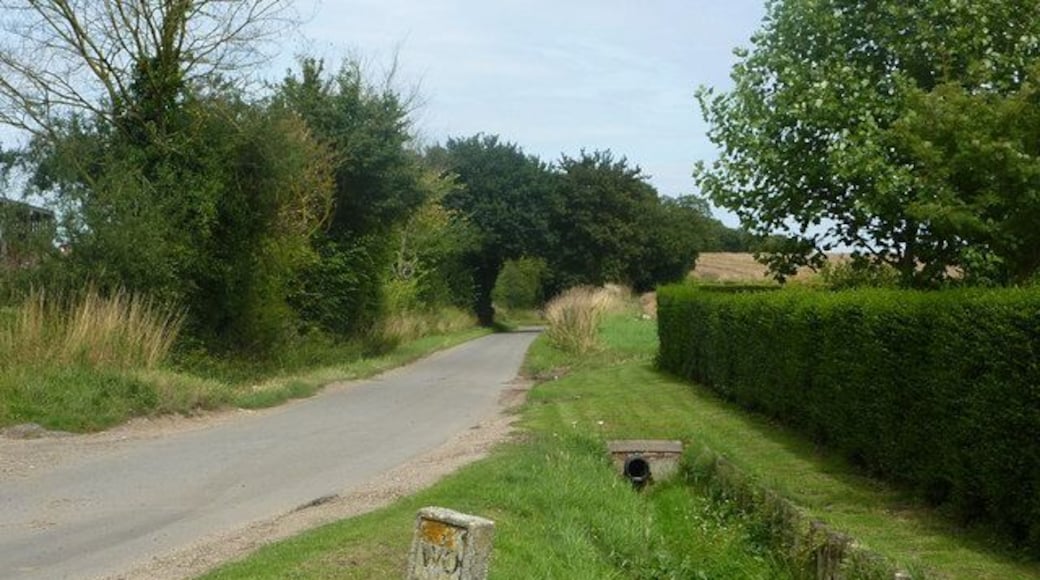 Looking up Swan Lane From the corner by the start of the driveway to the golf course. The lane goes towards Earl Soham and the A1120.