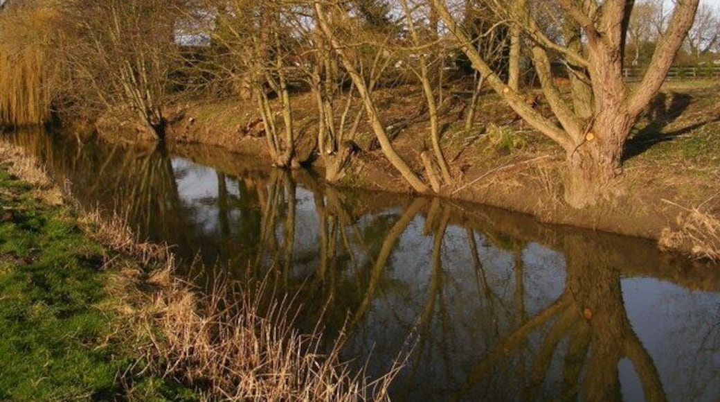 River Waveney near Earsham The Norfolk bank of the river is seen from the Suffolk bank. Work had recently been carried out to clear the Norfolk side of the bank.