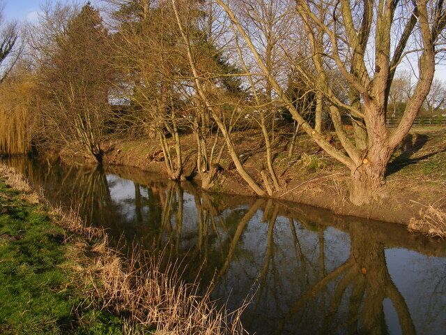 A calm river with leafless trees reflecting in the water.