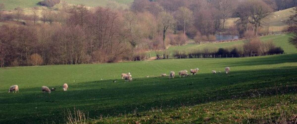 Valley from Highfields Farm. Looking back towards Tidebrook, and 1214994