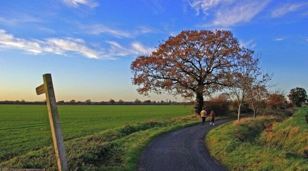 Footpath to Chappel Farm This is the point where the Footpath to Chappel Farm leaves 288186 in Goldhanger.