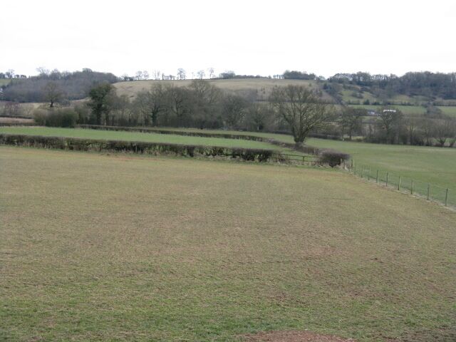 Fields At The Garden Centre