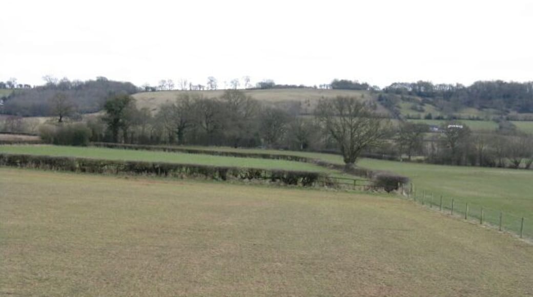 Fields At The Garden Centre