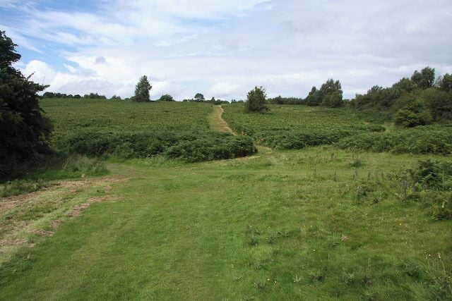 Ewyas Harold Common Various paths going in various directions. Best way to work out which one you want is try each in turn and find out.