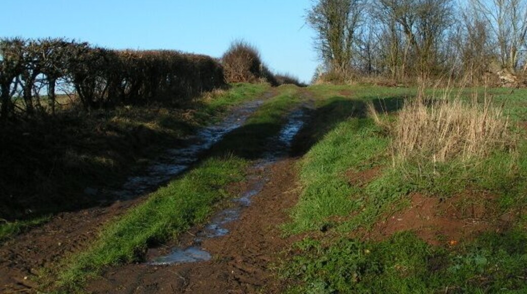 Farm track from the A4103 near Cotts Farm