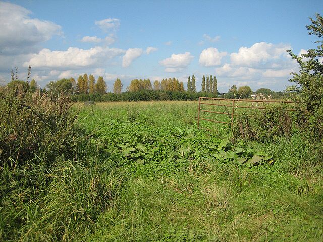 Field entrance in Lumber Lane Viewed from the Roman road.